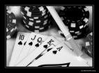 poker rule, free poker, poker pot odds